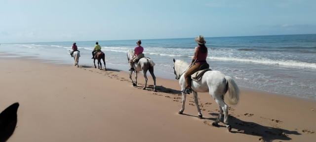 Opinión de Concha sobre Ruta a caballo por Playa Dunas y Parque Doñana, 2h