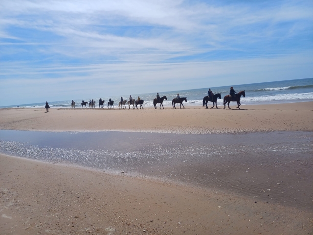 Opinión de Javier sobre Ruta a caballo por Playa Dunas y Parque Doñana, 2h