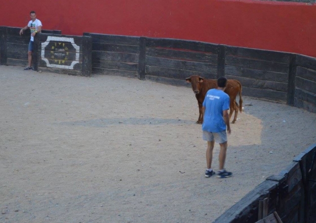 Alone before the heifer