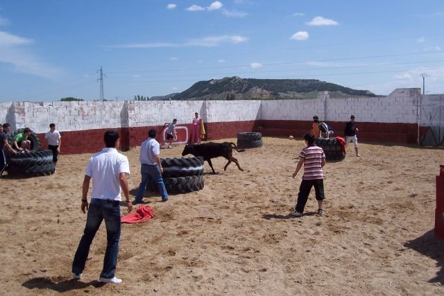 Capea con vaquilla