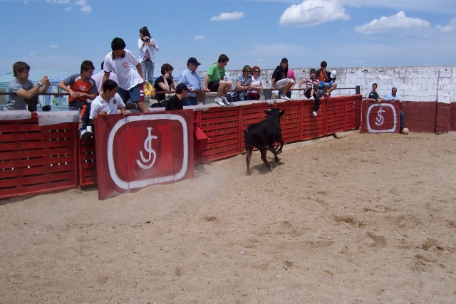 Esquivando a la vaquilla