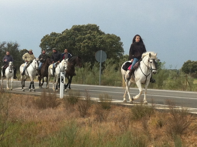 En ruta guiada