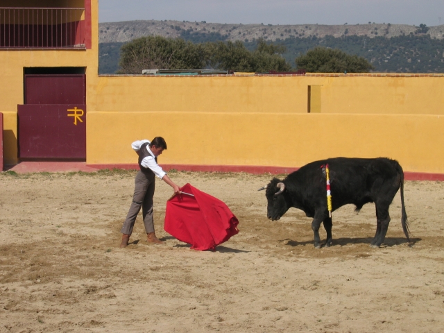 Entrenamientos de profesionales Tentaderos