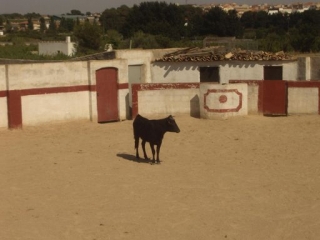 La plaza