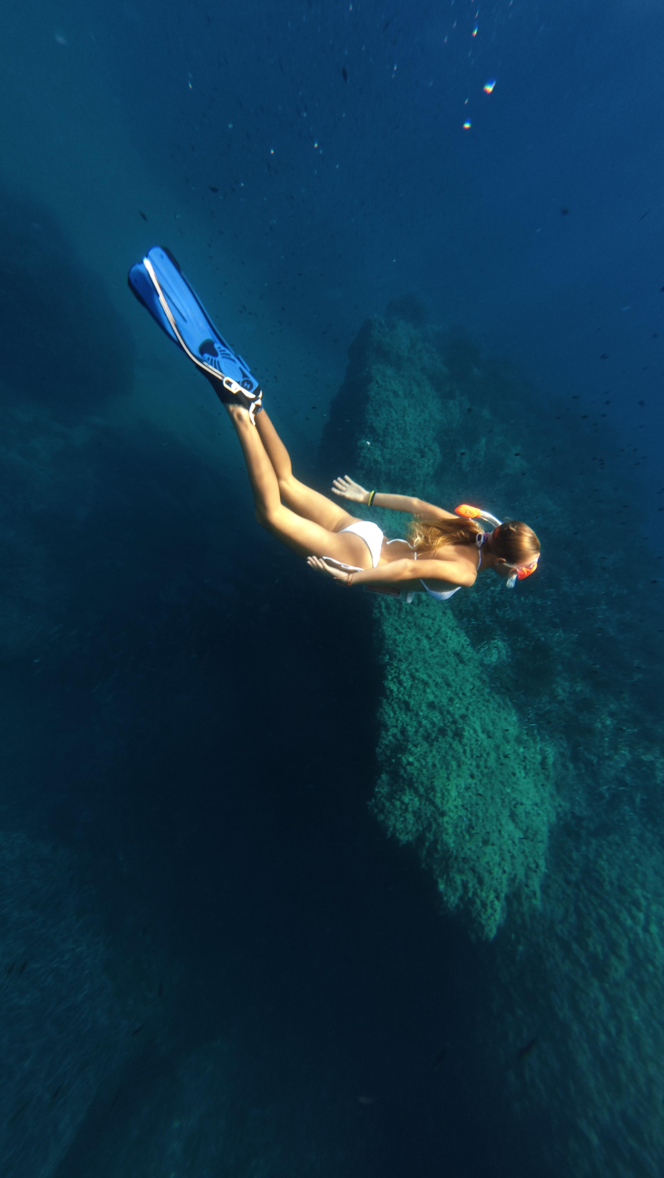 res_o-67815-buceo_de_emma-gede_195582_17912081525336.jpg
