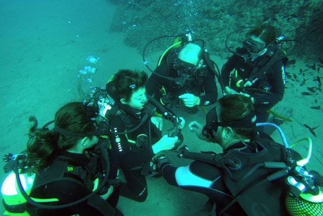 Curso de buceo con peques