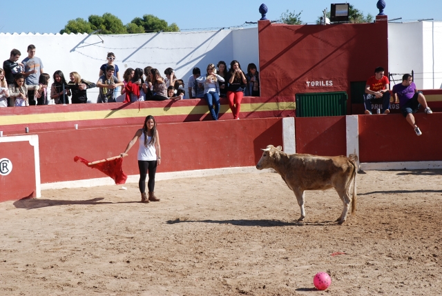 Tentando a la vaquilla