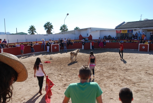 Valientes al ruedo
