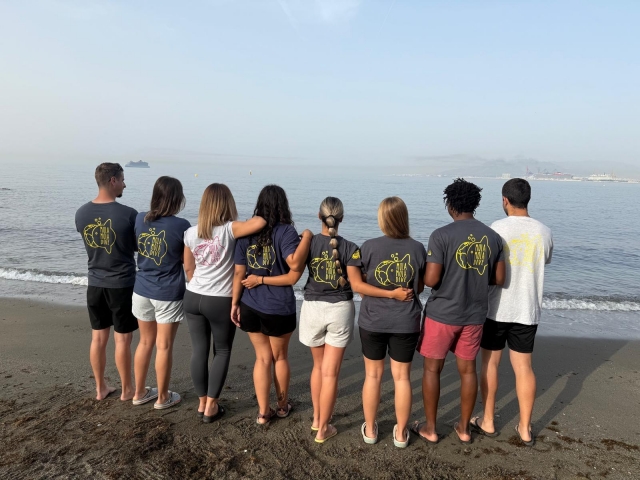  Discovering new species 