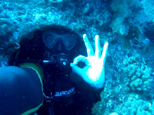  Hidden on the seabed 