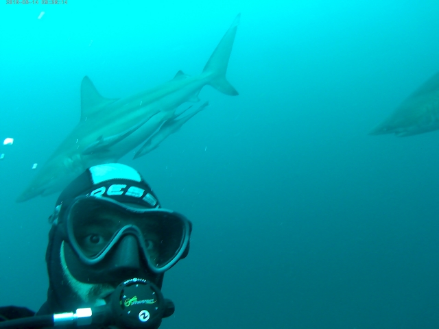  Diving trip to South Africa 