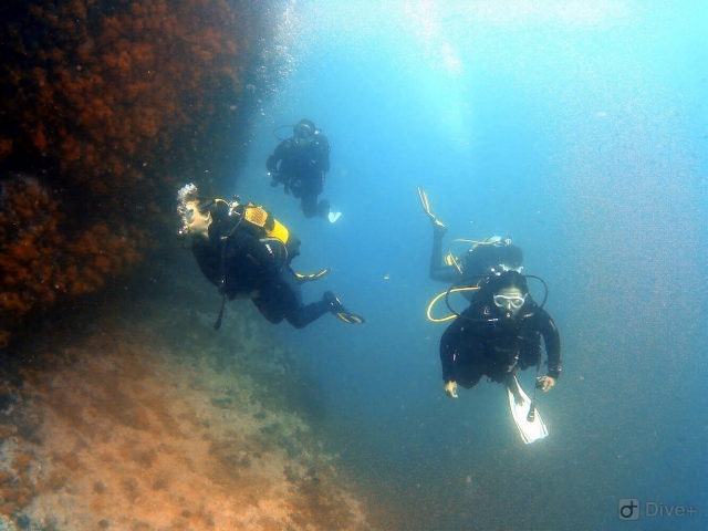  Deep dives 