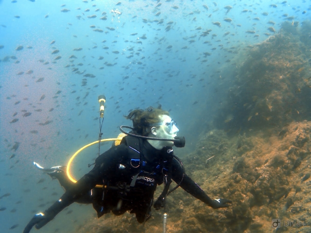  Our marine biologist during the dive 