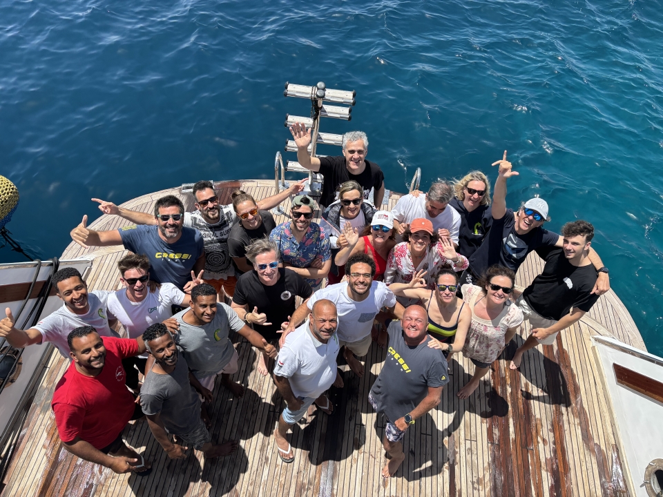  Colorful species on the seabed 