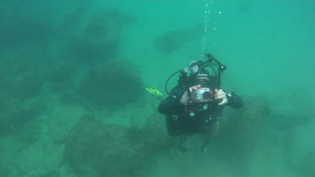 Fotografía submarina