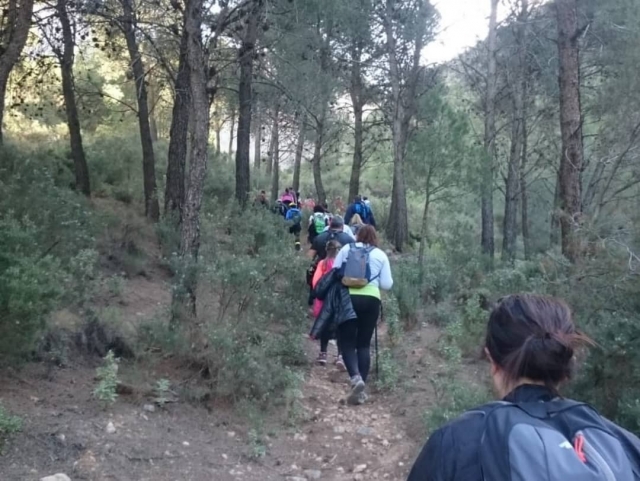 Expedición senderista por el bosque