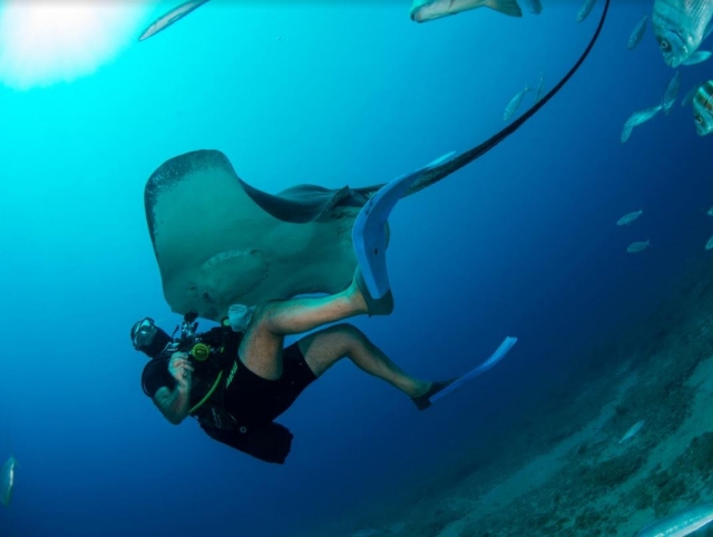  Under the manta ray 