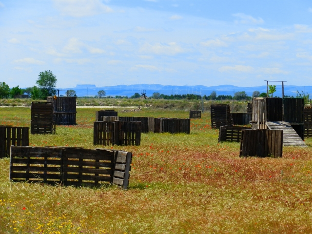  Far West Field 