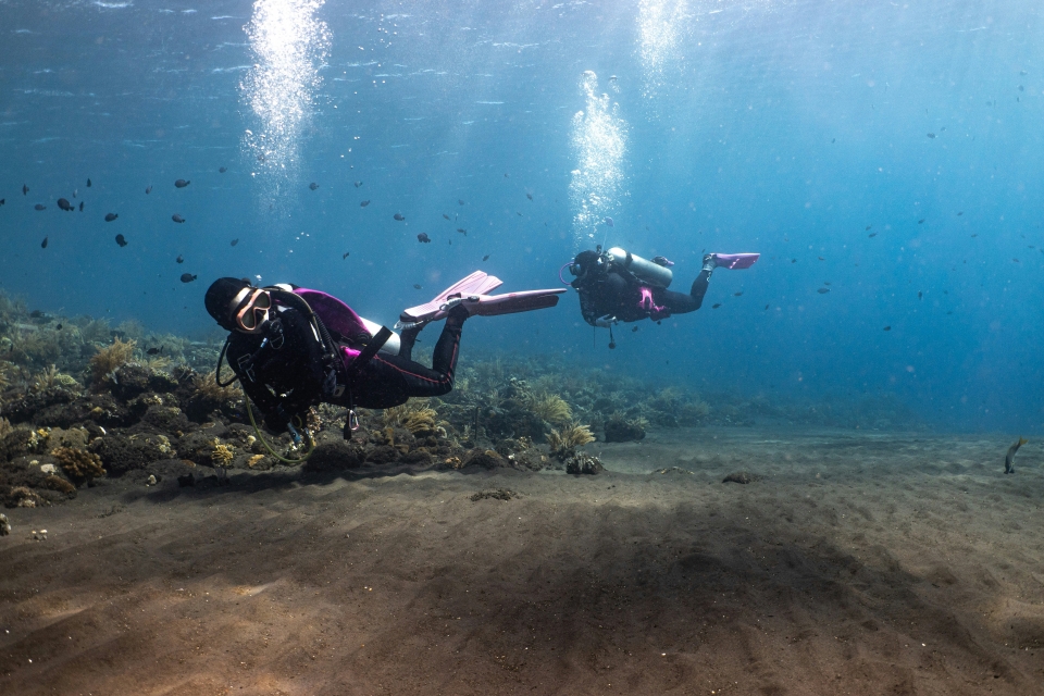 Inmersiones de buceo en mar