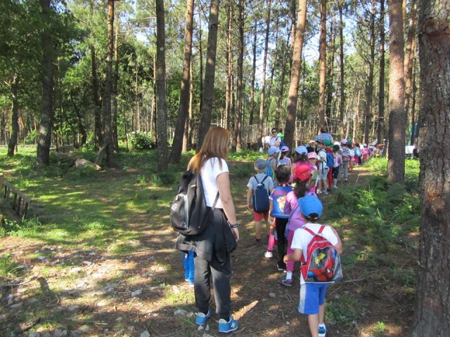  Excursions programmées 