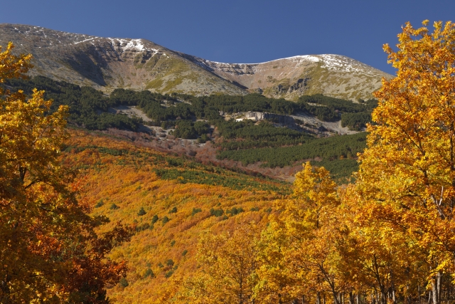  Parco Naturale del Moncayo 