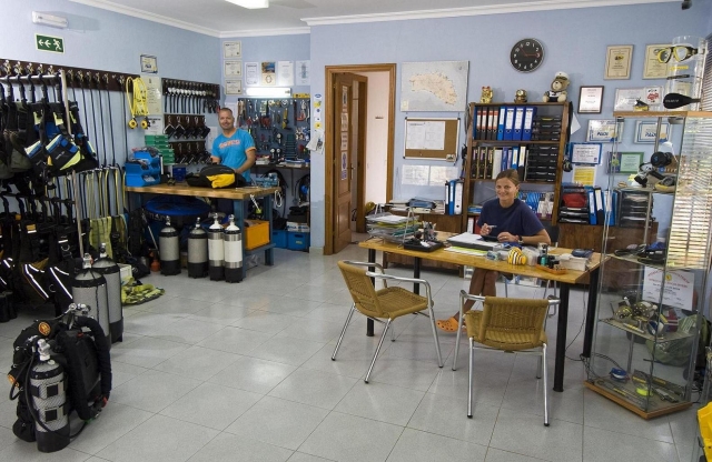  The store 