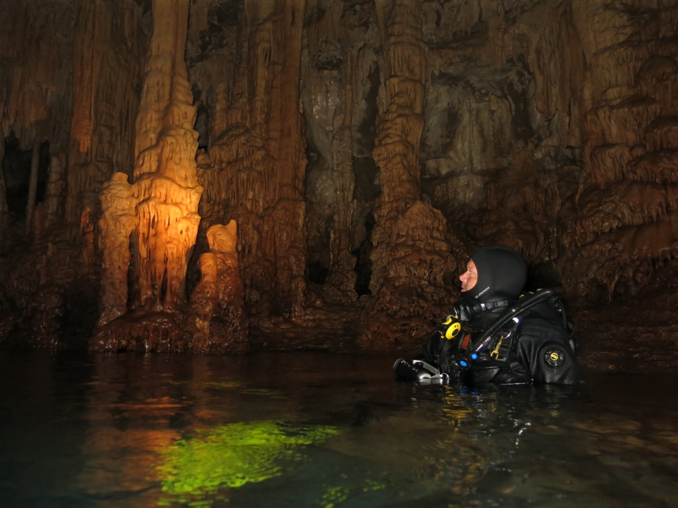 Conoce el mundo submarino de Alior