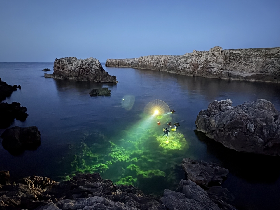 Bucea en las costas de Mallorca