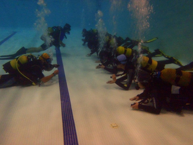  Plongée en piscine 
