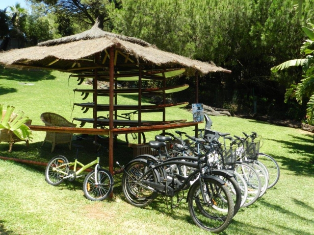  Location de vélos. Dans la zone de la plage