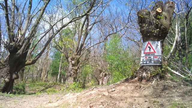  In mezzo alla natura 