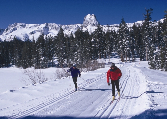  Cross-country skiing 