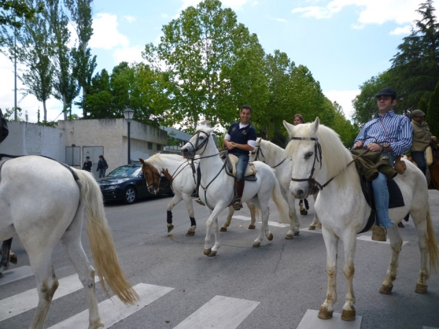 Paseos a caballo cerca de Madrid