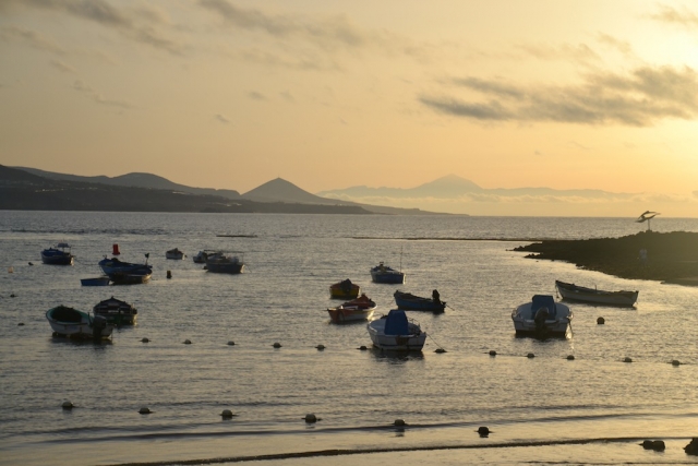 Las Canteras