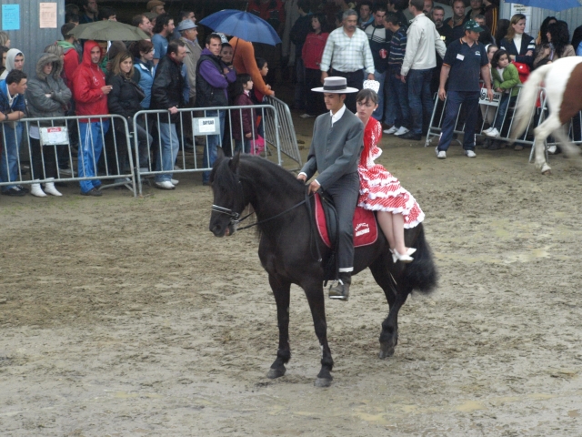  Sevillana am Hinterteil 