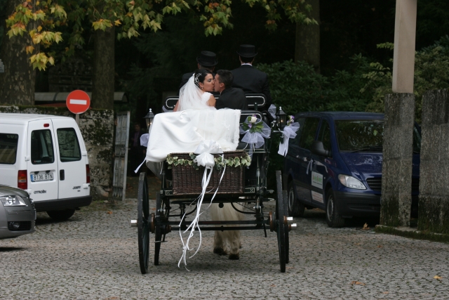  Braut und Bräutigam in der Kutsche 