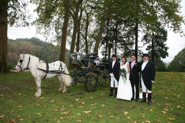  Hochzeit mit Kutsche 
