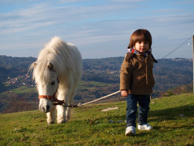  Ponys für Kinder 