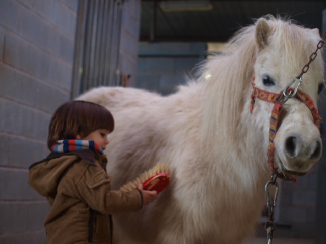  Erster Kontakt mit den Ponys 