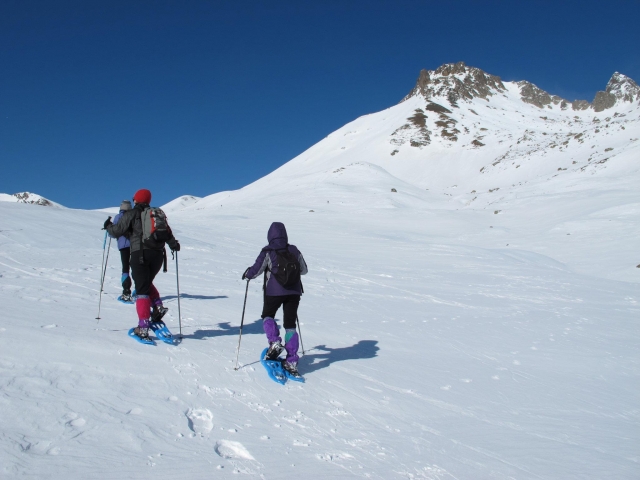  excursion en raquettes 