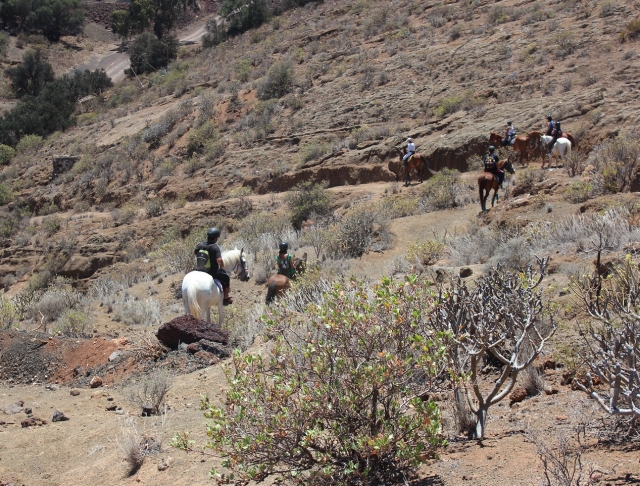  À cheval à côté du Teide 