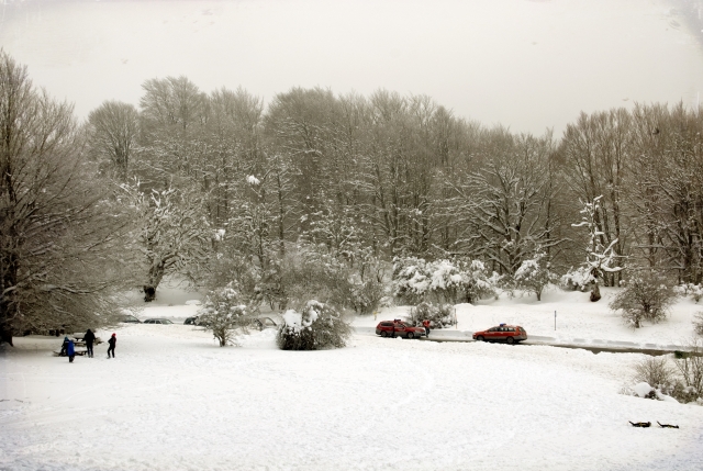 Disfruta con su familia