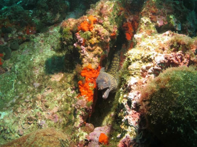 Morena in her hiding place