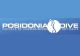 Posidonia Dive