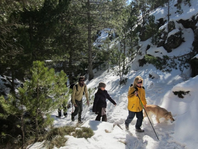 Travesías de trekking en la nieve