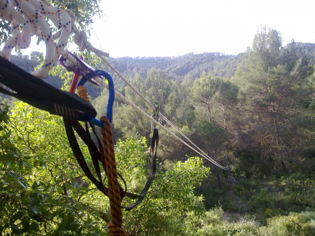  Zipline 