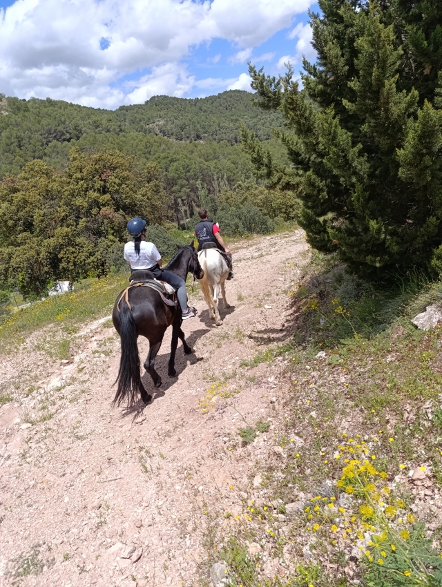 Avis de Juan concernant Randonnée à cheval le long de la route du Bunting 2h