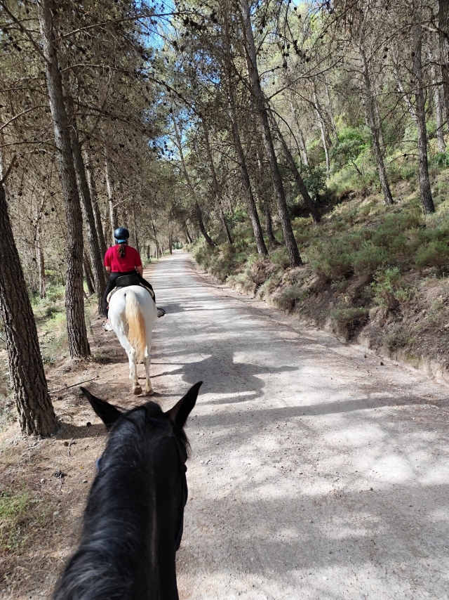 Avis de Lorenzo concernant Randonnée à cheval le long de la route du Bunting 2h