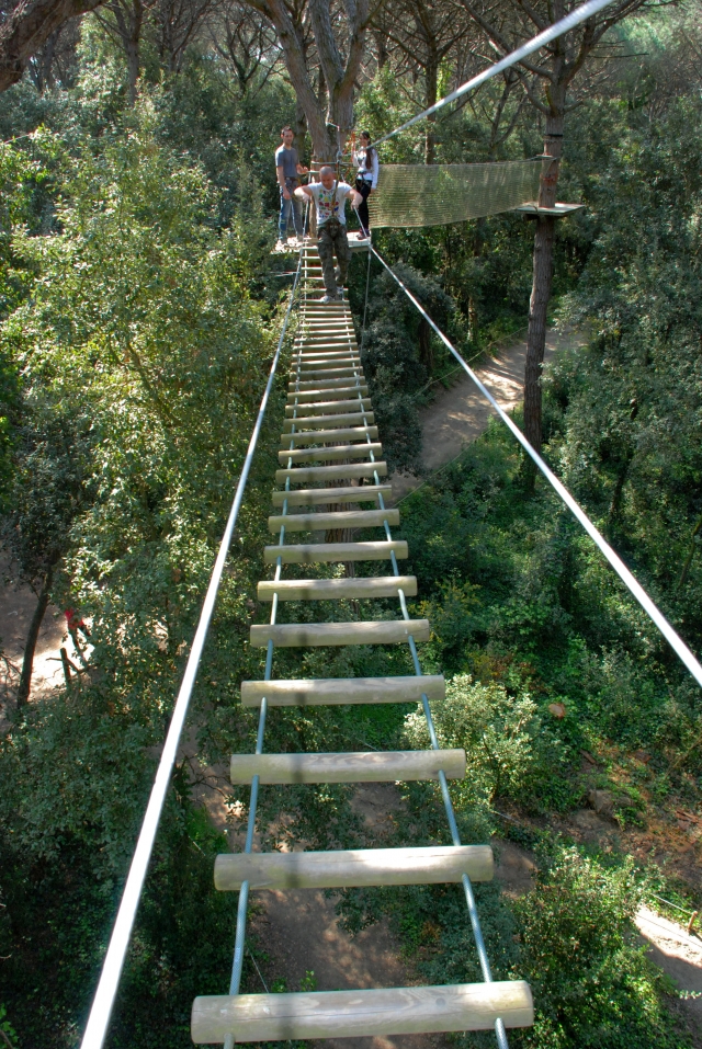 Puente movedizo