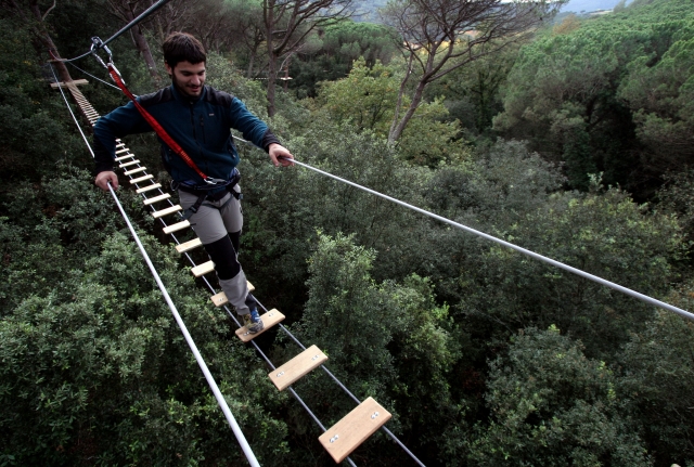 Puente entre arboles